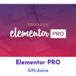 Elementor Pro v4.3.2 Plugin